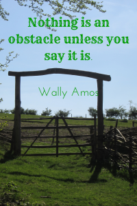 Nothing is an obstacle unless you say it